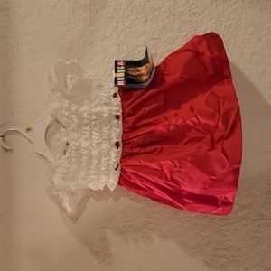 CUTE LITTLE GIRL'S LACE AND SATIN DRESS